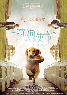少妇与大狼做爰在线观看
